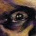 tattoo galleries/ - Uncle  - 34281